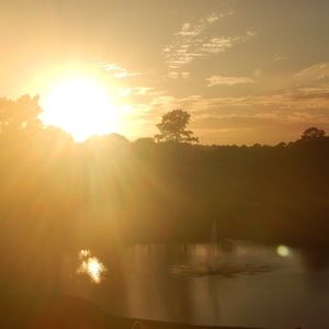 Meet your Posher, Jayla